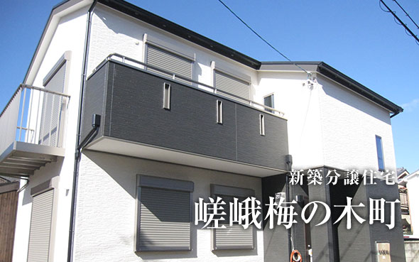 【成約済】嵯峨梅の木町