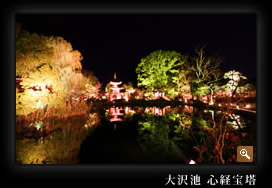 大沢池 心経宝塔の写真